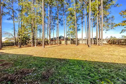 3228 N Spanish Cove Dr, Lillian, AL 36549 - Photo 42
