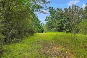 6640 Frank Reeder Rd, Pensacola, FL 32526 - Photo 32