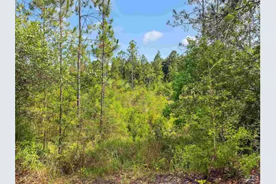 6640 Frank Reeder Rd, Pensacola, FL 32526 - Photo 34