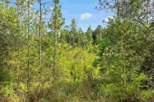 6640 Frank Reeder Rd, Pensacola, FL 32526 - Photo 34