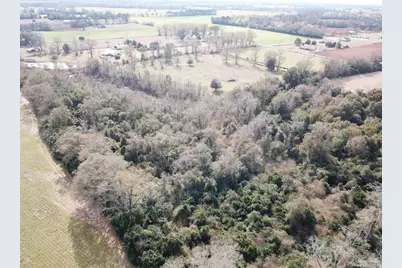 4+ Acres Hwy 4, Jay, FL 32565 - Photo 4
