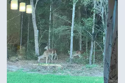 6782 Beaudry Ln, Milton, FL 32570 - Photo 58