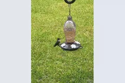 6782 Beaudry Ln, Milton, FL 32570 - Photo 60