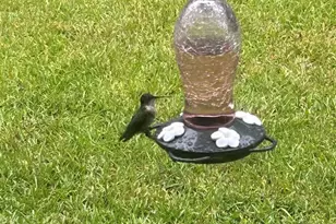 6782 Beaudry Ln, Milton, FL 32570 - Photo 60