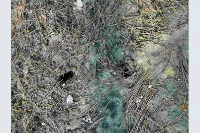 Lot 406 Country Mill Rd, Jay, FL 32565 - Photo 10