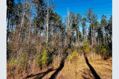 Lot 406 Country Mill Rd, Jay, FL 32565 - Photo 4