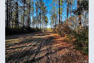Lot 406 Country Mill Rd, Jay, FL 32565 - Photo 6