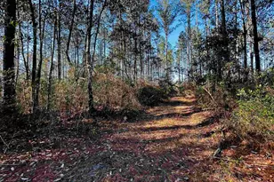 Lot 407 Country Mill Rd, Jay, FL 32565 - Photo 1