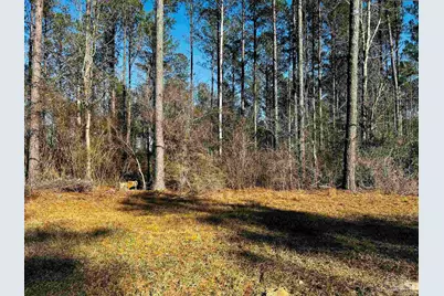 Lot 407 Country Mill Rd, Jay, FL 32565 - Photo 10