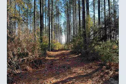 Lot 407 Country Mill Rd, Jay, FL 32565 - Photo 8