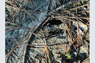 Lot 407 Country Mill Rd, Jay, FL 32565 - Photo 6