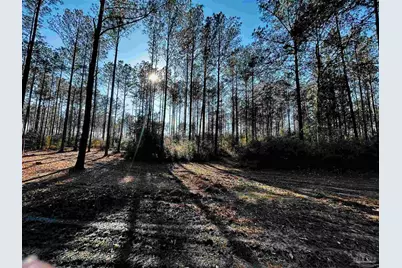 Lot 407 Country Mill Rd, Jay, FL 32565 - Photo 4