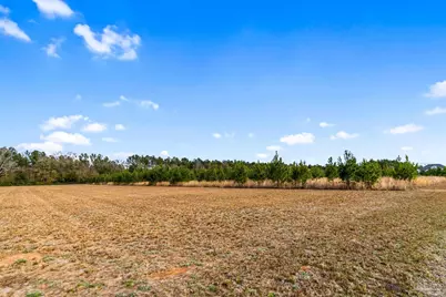 2563 Dryden Ln, Pace, FL 32571 - Photo 14