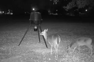 2033 Chavers Rd, Cantonment, FL 32533 - Photo 42