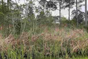 5500 Blk Bob-O-Link Rd, Pensacola, FL 32507 - Photo 1