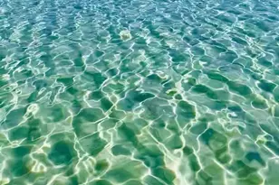 1956 Crown Pointe Blvd, Pensacola, FL 32506 - Photo 68