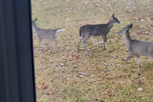 1956 Crown Pointe Blvd, Pensacola, FL 32506 - Photo 50