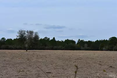 0000 Pat Brown Rd, Milton, FL 32570 - Photo 2