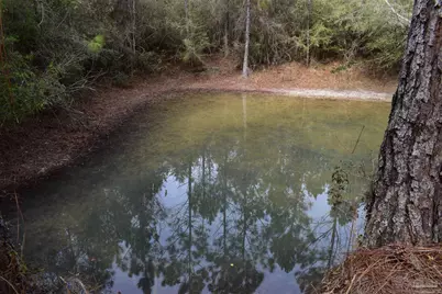 0000 Pat Brown Rd, Milton, FL 32570 - Photo 4