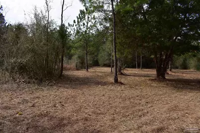 0000 Pat Brown Rd, Milton, FL 32570 - Photo 14