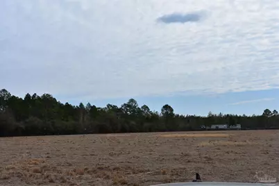 0000 Pat Brown Rd, Milton, FL 32570 - Photo 8