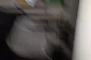 7075 Ben Sasser Dr, Pensacola, FL 32506 - Photo 30