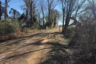 3401 Rocky Rd, Jay, FL 32565 - Photo 42