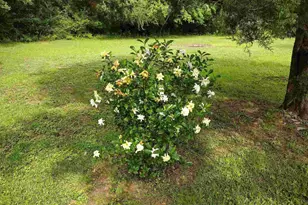 4611 Gunter Rd, Milton, FL 32570 - Photo 28