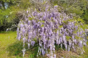 4611 Gunter Rd, Milton, FL 32570 - Photo 26