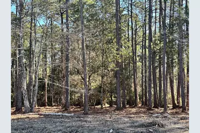 0 Avalon Blvd, Milton, FL 32583 - Photo 6