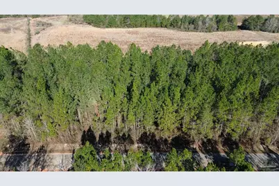 Lot 43 Mineral Springs Rd, Jay, FL 32565 - Photo 2