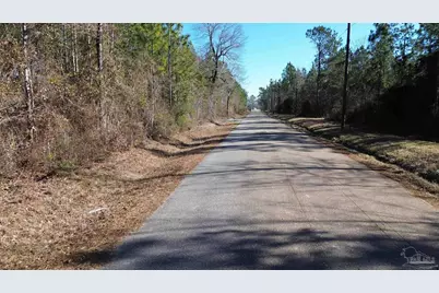 Lot 44 Mineral Springs Rd, Jay, FL 32565 - Photo 4