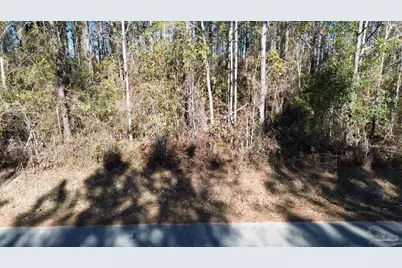 Lot 45 Mineral Springs Rd, Jay, FL 32565 - Photo 2