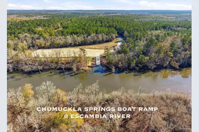 Lot 45 Mineral Springs Rd, Jay, FL 32565 - Photo 4