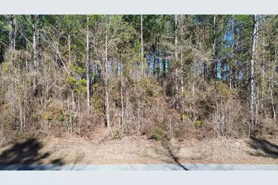 Lot 47 Mineral Springs Rd, Jay, FL 32565 - Photo 2