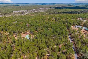 7717 Koinonia Pl, Holt, FL 32564 - Photo 32