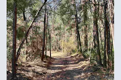 3700 Vantage Rd, Cantonment, FL 32533 - Photo 20