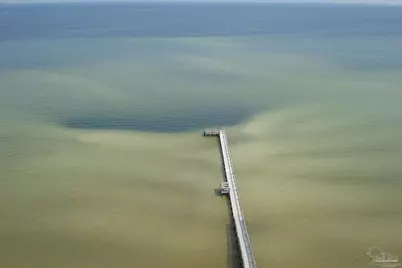 825 Bayshore Dr #1208, Pensacola, FL 32507 - Photo 2