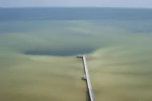 825 Bayshore Dr, Pensacola, FL 32507 - Photo 2