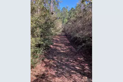 2462 Ten Mile Rd, Pace, FL 32571 - Photo 4