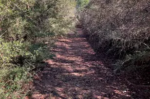 2462 Ten Mile Rd, Pace, FL 32571 - Photo 4