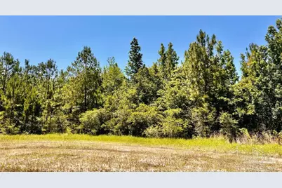 Lot 41 Mineral Springs Rd, Jay, FL 32565 - Photo 14