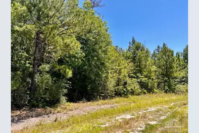 Lot 41 Mineral Springs Rd, Jay, FL 32565 - Photo 10