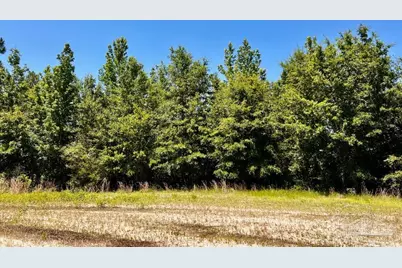 Lot 41 Mineral Springs Rd, Jay, FL 32565 - Photo 16