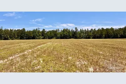 Lot 41 Mineral Springs Rd, Jay, FL 32565 - Photo 12