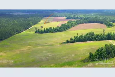 Lot 41 Mineral Springs Rd, Jay, FL 32565 - Photo 4