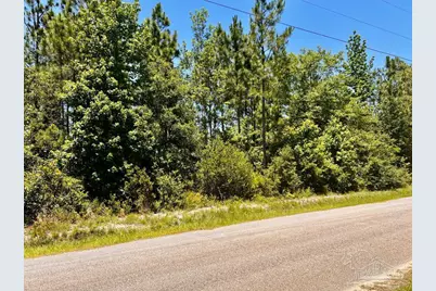 Lot 42 Mineral Springs Rd, Jay, FL 32565 - Photo 6