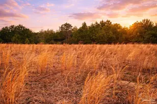 Lot 42 Mineral Springs Rd, Jay, FL 32565 - Photo 1