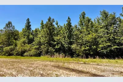 Lot 42 Mineral Springs Rd, Jay, FL 32565 - Photo 12