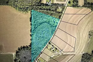 3675 Hazel Godwin Rd, Jay, FL 32565 - Photo 4